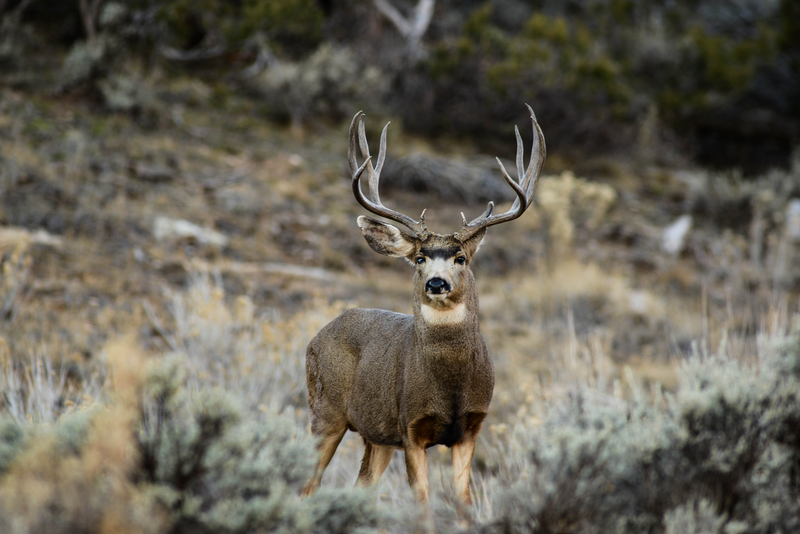webimage-3088F529-8402-4025-985BC2402BDF9B44.png